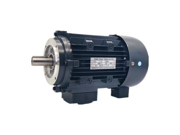 三相力矩電機產(chǎn)品質(zhì)量 三相力矩電動機廠家產(chǎn)品圖片