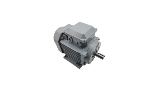 異步電機(jī)特點(diǎn) 三相異步電動(dòng)機(jī)廠家電機(jī)產(chǎn)品