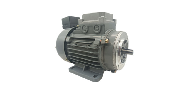 力矩電機(jī)廠家產(chǎn)成品圖片