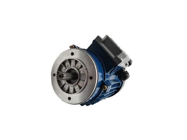 交流力矩電機可以使用變頻器控制嗎 力矩電機廠家產(chǎn)品圖片