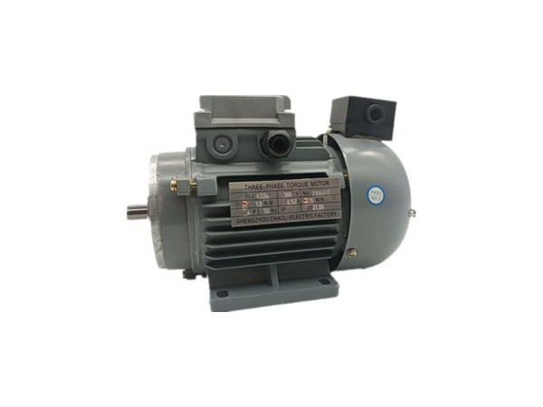 三相力矩電機(jī)廠家哪家好 三相力矩電機(jī)廠家產(chǎn)品圖片