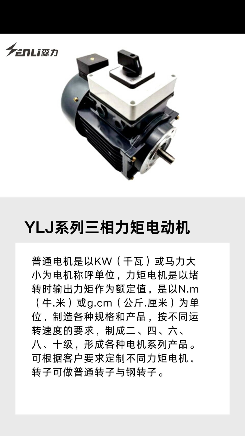 力矩電機(jī) 力矩電機(jī)