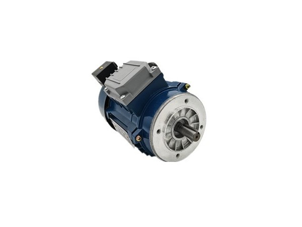 長軸力矩電機廠家生產(chǎn)低轉(zhuǎn)速大扭矩電機 力矩電機廠家產(chǎn)品圖片