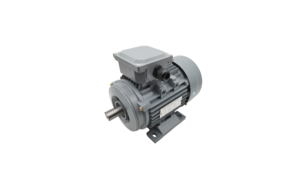 三相異步電動機(jī)廠家產(chǎn)品 三相異步電動機(jī)廠家產(chǎn)品