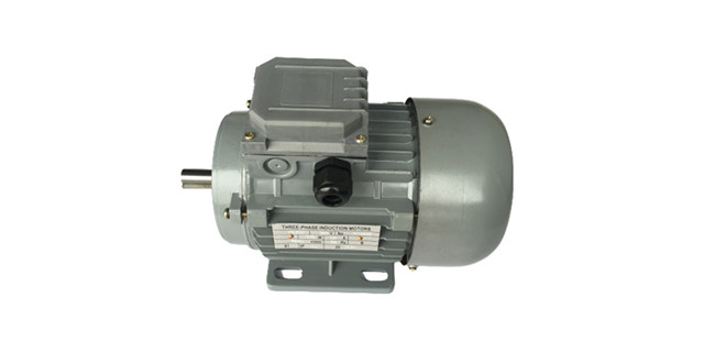 三相異步電動(dòng)機(jī)廠家產(chǎn)品 三相異步電動(dòng)機(jī)廠家產(chǎn)品