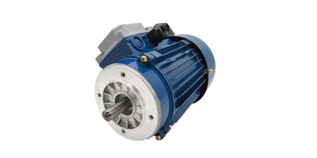 力矩電動(dòng)機(jī)產(chǎn)品圖片