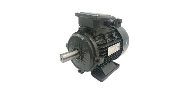 三相異步電動機廠家產(chǎn)品 三相異步電動機廠家產(chǎn)品