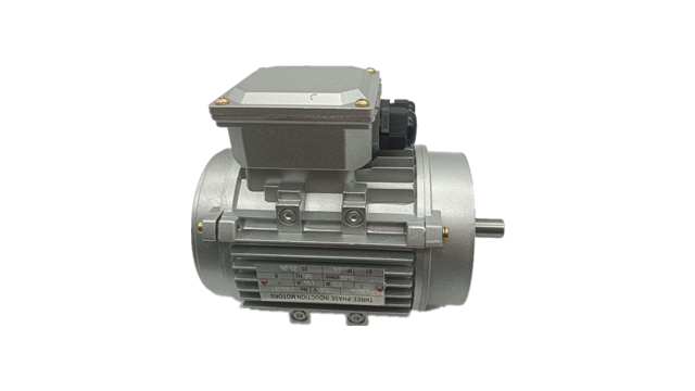三相異步電動(dòng)機(jī)廠家電機(jī)產(chǎn)品