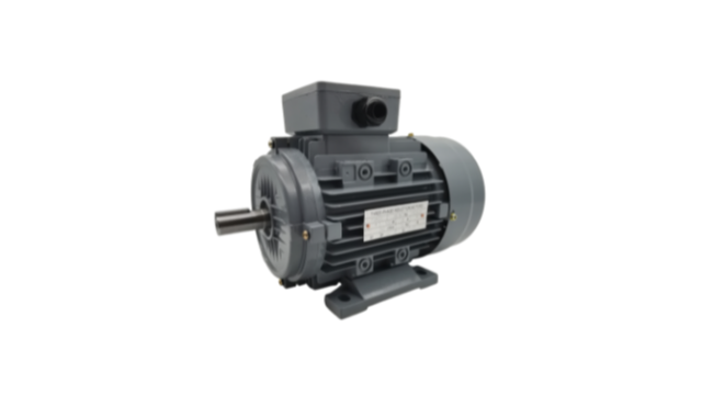 三相異步電動機(jī)可以使用變頻器控制嗎 三相異步電動機(jī)廠家電機(jī)產(chǎn)品