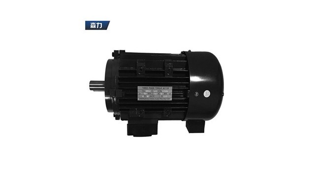 力矩電機(jī)浸漆工藝一定要“透” 力矩電機(jī)廠家產(chǎn)品圖片