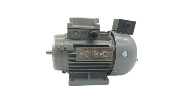 山東力矩電動機存放注意事項 力矩電動機產(chǎn)品圖片