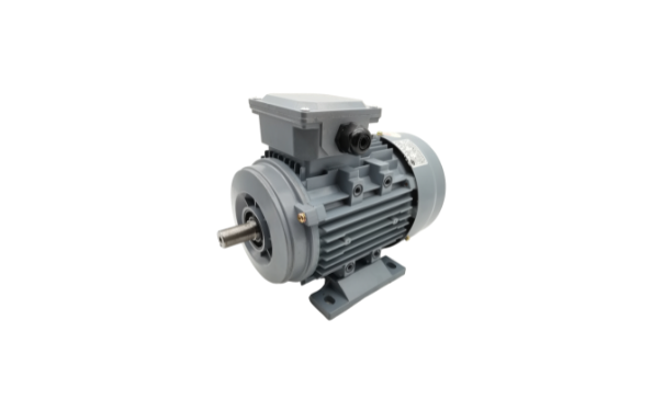 三相異步電動(dòng)機(jī)廠家產(chǎn)品 三相異步電動(dòng)機(jī)廠家產(chǎn)品