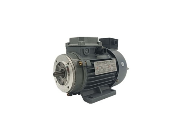 力矩電動機產品規(guī)格齊全