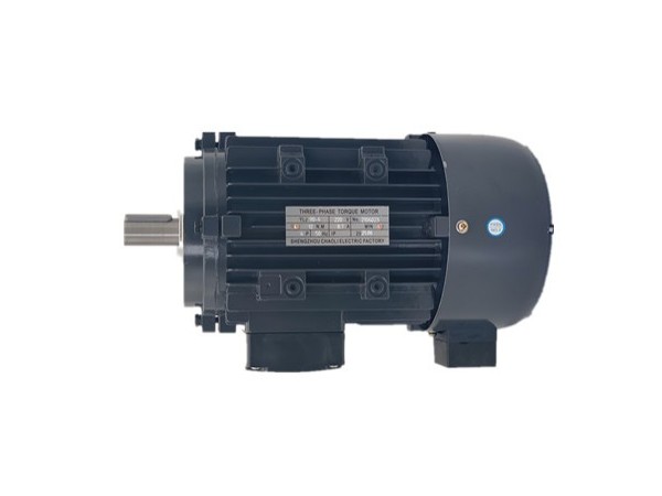 三相力矩電機產品質量