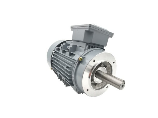 三相異步電動機(jī)在運(yùn)行時需檢查的項目 三相異步電動機(jī)